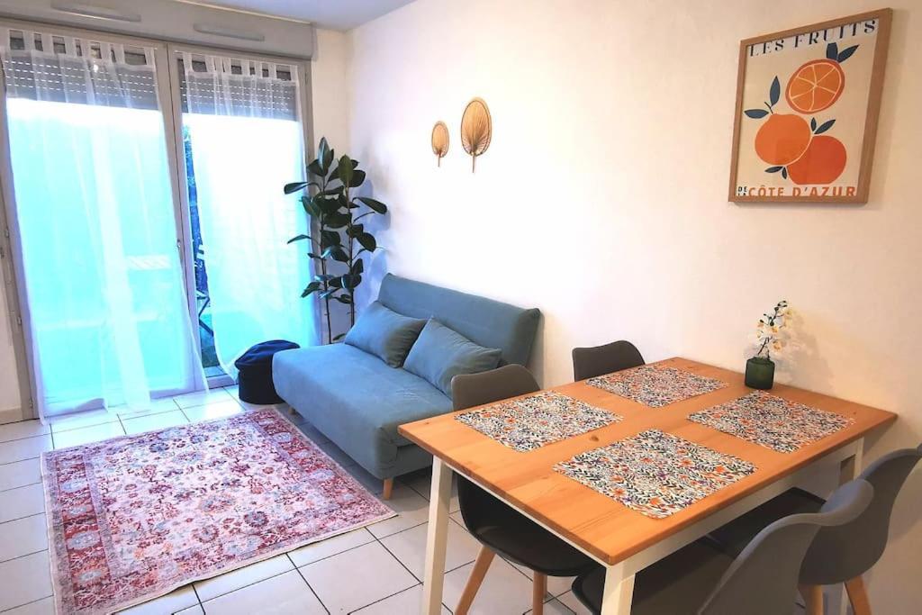 Grand Studio Lumineux Et Sa Terrasse Au Calme Toulouse Buitenkant foto