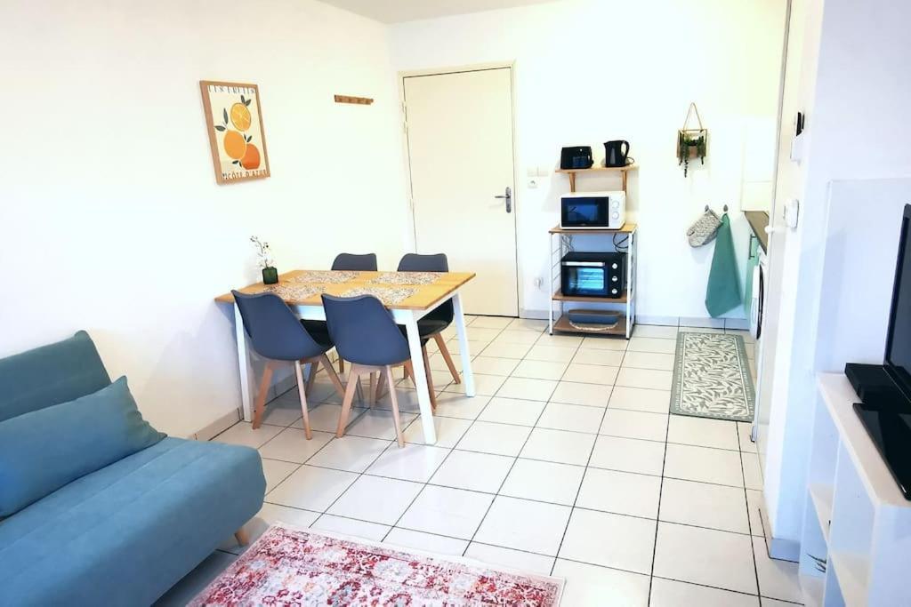 Grand Studio Lumineux Et Sa Terrasse Au Calme Toulouse Buitenkant foto