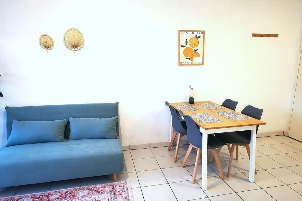 Grand Studio Lumineux Et Sa Terrasse Au Calme Toulouse Buitenkant foto